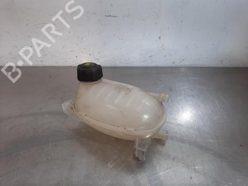 Used Expansion tank DACIA SANDERO III 1.0 TCe 90 (91 hp) 17113991
