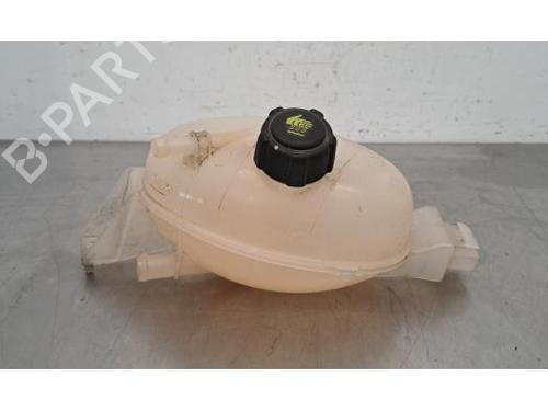Ekspansjonstank RENAULT MASTER III Platform/Chassis (EV, HV, UV) 2.3 dCi 130 FWD (EV0Y, HV0Y, UV0M, UV0Y, UV03) (130 hp) 23934146
