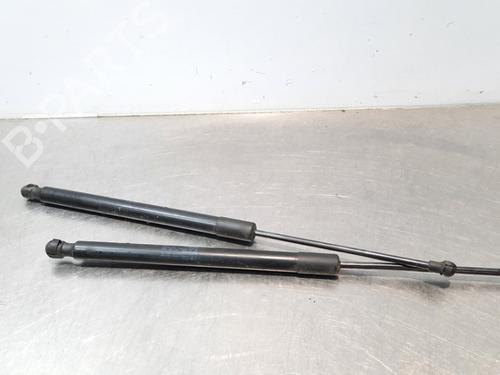 Used Tailgate lift support VW GOLF VII (5G1, BQ1, BE1, BE2) 1.6 TDI (110 hp) 16264055