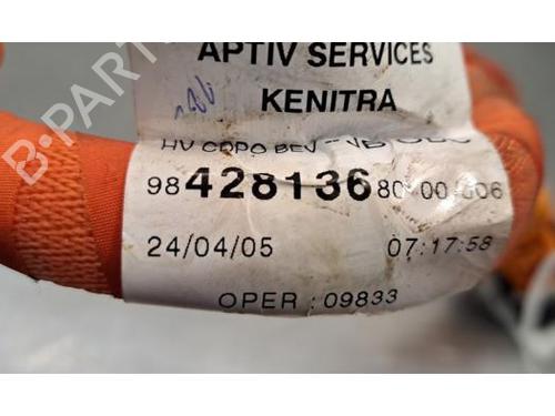 Kabel PEUGEOT 308 III (FB_, FH_, FP_, F3_, FM_) e-308 (FMZKWZ) | BP30501269E12 