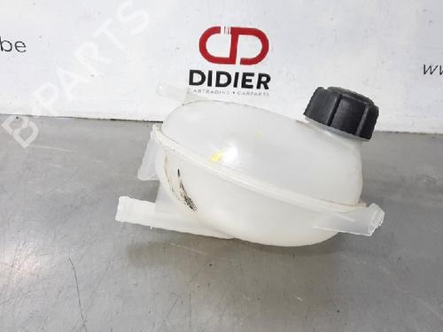 Used Expansion tank DACIA SANDERO II TCe 90 (B8M1, B8MA, B8AC) (90 hp) 10875082