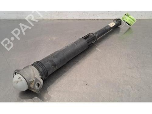 Used Left rear shock absorber VW POLO VI (AW1, BZ1, AE1) 1.6 TDI (95 hp) 29058014