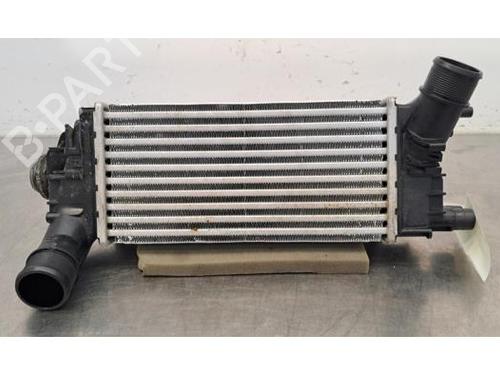 Ladeluftkühler für FORD PUMA (J2K, CF7) 1.0 EcoBoost (125 hp) 29058220