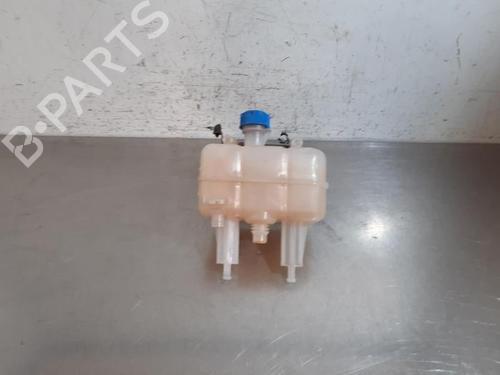 Used Expansion tank FIAT DUCATO Van (250_) 180 Multijet 2,2 D (179 hp) 27267545