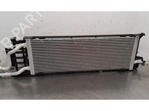 Oliekøler OPEL ASTRA F Saloon (T92) 1.6 i (F19, M19) (75 hp) 31241323