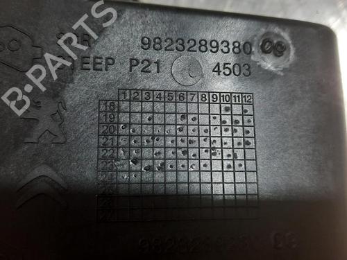 Fuel flap PEUGEOT 208 II (UB_, UP_, UW_, UJ_) 1.2 PureTech 100 | BP24185160C131 