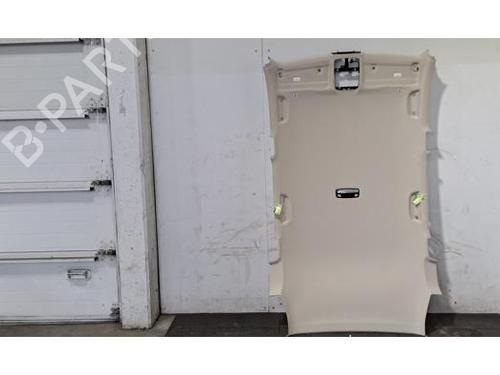 Used Interior roof BMW X5 (G05, F95) xDrive 25 d (231 hp) 30310619