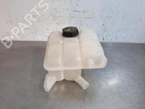 Used Expansion tank FORD TRANSIT CONNECT V408 Box Body/MPV 1.0 EcoBoost (100 hp) 23592169