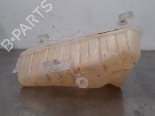 Expansion tank RENAULT KANGOO Express (FW0/1_) 1.5 dCi 75 (FW07, FW10, FW04) | BP21268566C120 