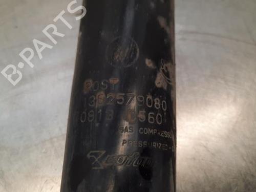 Left rear shock absorber CITROËN JUMPER II Van 2.2 HDi 130 | BP23630879M18 