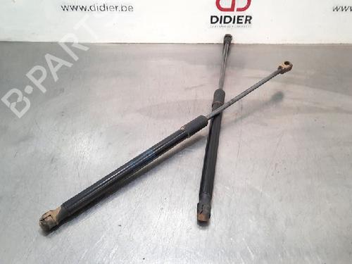 Tailgate lift support SKODA FABIA III (NJ3) 1.0 TSI | BP15021322C138 