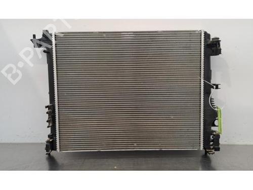 Used Water radiator DS DS 7 Crossback (J4_, JR_, JC_) E-TENSE 4x4 (J45GBU) (300 hp) 28966499