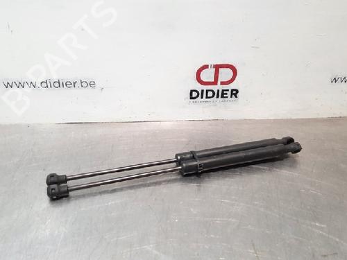 Used Hood lift support RENAULT KANGOO Express (FW0/1_) 1.5 dCi 90 (FW0G, FW05, FW08, FW11) (90 hp) 15021938