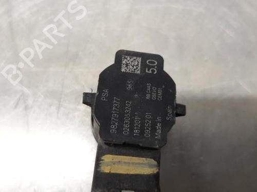 Electronic module CITROËN C3 III Van (SX_, SY_) BlueHDi 100 | BP18421569M83