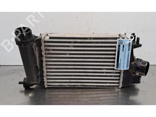 Intercooler Intercooler NISSAN MICRA V (K14) 1.0 IG-T (92 hp) 36382514 36382514