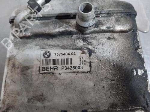 Intercooler BMW X6 (E71, E72) xDrive 50 i | BP40552831M30 - Image 4