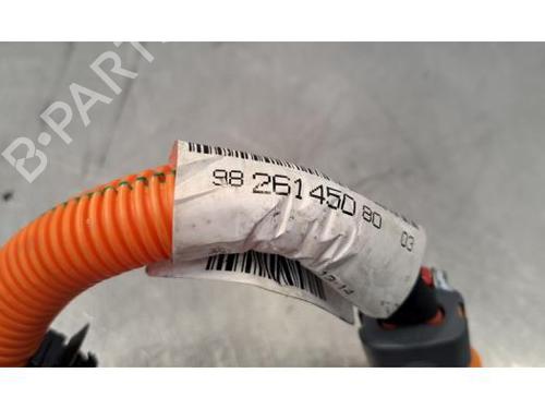 Cable PEUGEOT 308 III (FB_, FH_, FP_, F3_, FM_) e-308 (FMZKWZ) | BP29984989E12