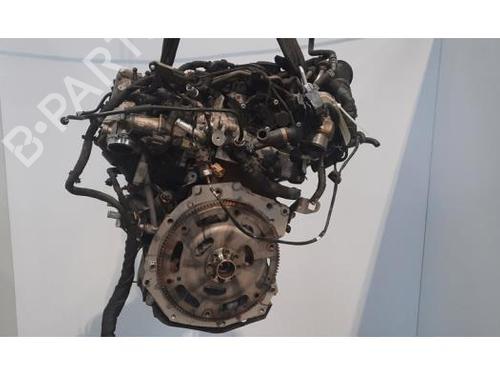 Used Engine AUDI Q5 (FYB, FYG) 2.0 TDI (150 hp) 25829523