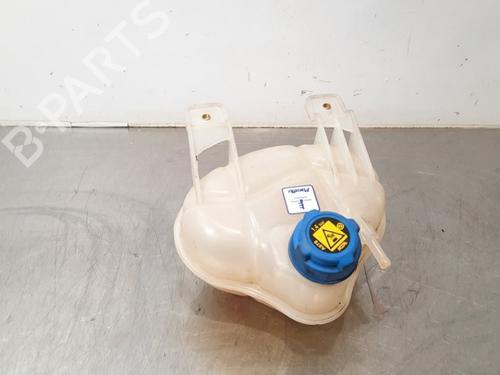 Used Expansion tank FIAT DOBLO Cargo (263_) 1.6 D Multijet (263WXD1B, 263WXR1B, 263WXX1B, 263ZXD1B,... (105 hp) 16264380