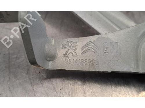 Hinge/Door check strap PEUGEOT 3008 II SUV (MC_, MR_, MJ_, M4_) 1.2 THP/ PureTech 130 (MRHNSM, MRHNSU, MRHNSJ, MRHNYW,... | BP29195417C146 