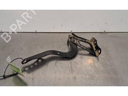 Hinge/Door check strap TOYOTA RAV 4 V (_A5_, _H5_) 2.5 Hybrid AWD (AXAH54, AXAL54) | BP32099444C146