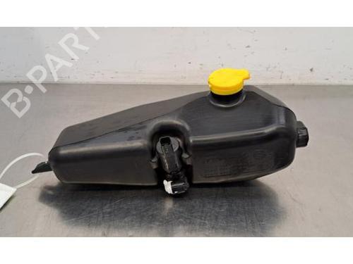 Used Windscreen washer tank DACIA DUSTER (HM_) 1.0 LPG (HMMT) (101 hp) 29388951