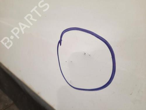 Tailgate FIAT DUCATO Van (250_) 140 Multijet 2,2 D | BP29058003C6 