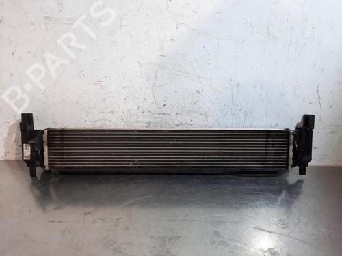 Water radiator VW T-ROC (A11, D11) 1.0 TSI | BP29379561M31 