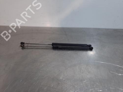 Gassdemper Bakluke RENAULT CLIO III (BR0/1, CR0/1) 1.2 16V (BR0R, BR1D, BR1L, CR0R) (65 hp) 15032907