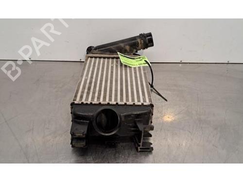 Intercooler NISSAN MICRA V (K14) 1.0 IG-T | BP31347346M30 