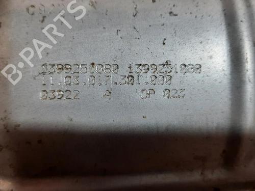 Catalyst PEUGEOT BOXER Van 2.2 BlueHDi 165 | BP29054998M10 