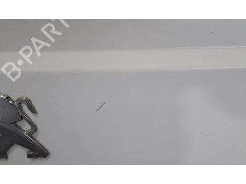 Tailgate PEUGEOT BOXER Van 2.2 BlueHDi 120 | BP32408685C6 