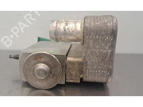 Oliekøler RENAULT MEGANE IV Hatchback (B9A/M/N_) 1.6 E-TECH 160 (B9NH) | BP29871789M33 