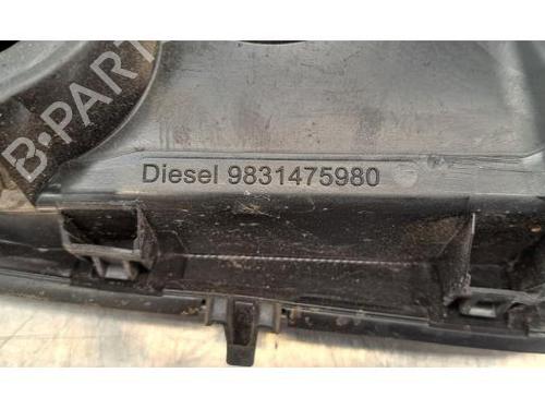 Fuel flap PEUGEOT 2008 II (UD_, US_, UY_, UJ_, UR_, UC_) 1.5 BlueHDI 100 | BP28067451C131