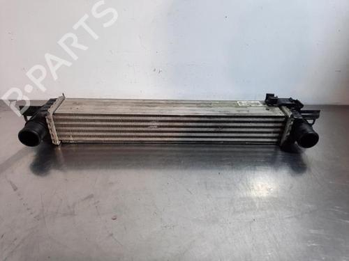 Used Intercooler FIAT FIORINO Box Body/MPV (225_) 1.3 D Multijet (95 hp) 32376623