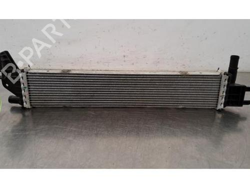 Used Water radiator RENAULT EXPRESS Box Body/MPV 1.5 Blue dCi 95 (F6AB) (95 hp) 29343798