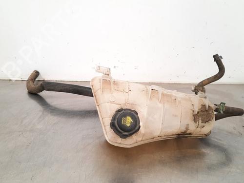 Used Expansion tank RENAULT KANGOO Express (FW0/1_) 1.5 dCi 110 (FW0C, FW0H) (109 hp) 15789947