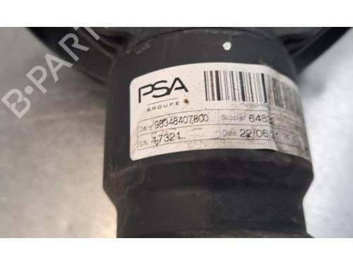 Right rear shock absorber PEUGEOT 208 II (UB_, UP_, UW_, UJ_) e-208 | BP29879415M19 
