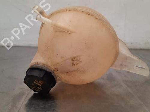 Used Expansion tank FORD TRANSIT V363 Van (FCD, FDD) 2.0 EcoBlue RWD (130 hp) 23603362