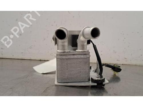 Elektronisk modul MG MG HS (AS23) 1.5 EHS Hybrid (CSA6463) | BP29643187M83 
