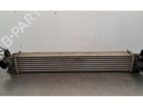 Intercooler CITROËN JUMPER II Van 2.2 BlueHDi 165 | BP24116694M30