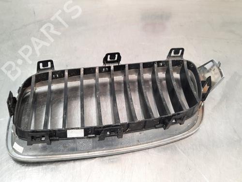 Grille BMW 3 Touring (F31) 318 i | BP10896283C40 