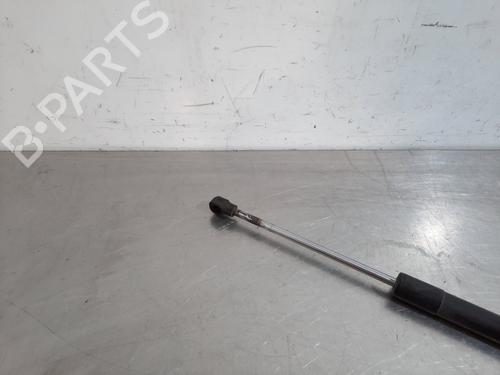 Hood lift support RENAULT CLIO IV (BH_) 1.5 dCi 75 | BP17113027C139 