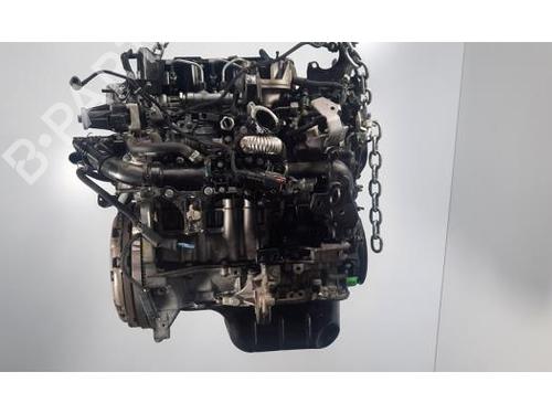 Engine PEUGEOT 5008 II (MC_, MJ_, MR_, M4_) 1.5 BlueHDi 130 (MCYHZJ, MCYHZR, MCYHZX) | BP29393175M1 