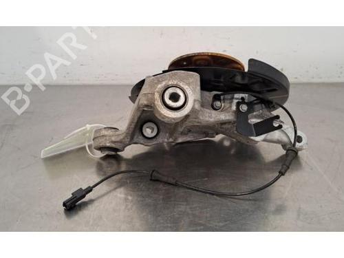 Left rear steering knuckle RENAULT SCENIC E-TECH PHASE I EV87 | BP29817843M27