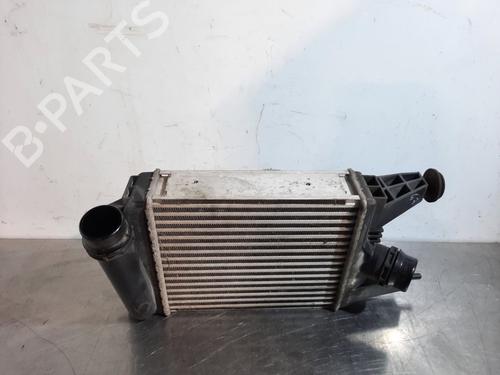Used Intercooler NISSAN PULSAR Hatchback (C13) 1.2 DIG-T (115 hp) 17563197
