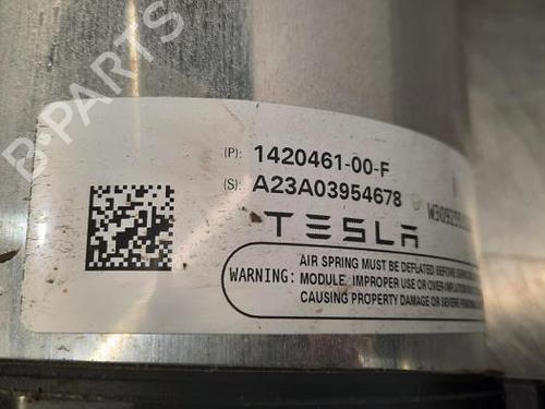 Left rear shock absorber TESLA MODEL S (5YJS) EV AWD | BP25585790M18 