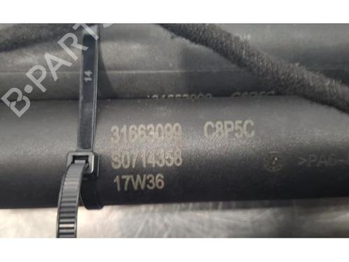 Tailgate lift support VOLVO XC40 (536) Recharge AWD | BP31911033C138 