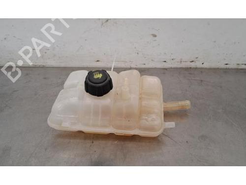 Used Expansion tank RENAULT SCÉNIC IV (J9_) 1.3 TCe 140 (140 hp) 25149698