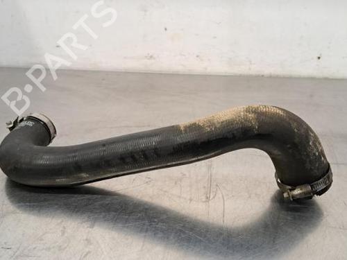 Pipe LAND ROVER RANGE ROVER IV (L405) 4.4 SDV8 4x4 | BP23600807M125 